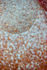 인사동 거리의 풍경 이야기