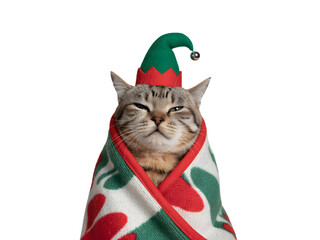Funny tabby cat wrapped in festive red and green Christmas blanket, wearing a cute elf hat with a bell. Adorable holiday pet portrait, perfect for seasonal greetings, memes, and festive designs.