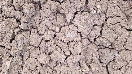 Close-up texture JO extremely dry, light brown and gray clay earth, featuring a dense network of cracks from prolonged drought.