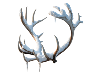 Majestic snow-covered deer antlers, adorned with glistening frost and delicate icicles, isolated on a deep black background. Perfect for winter themes, holiday designs, Christmas projects, and wild