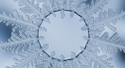 Close-up of a detailed snowflake on a blue background.