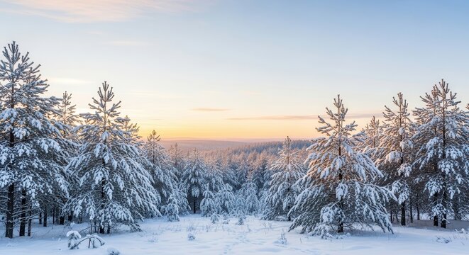 Serene winter landscape with snow-covered pine trees at sunrise.