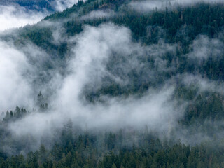 Misty Forest on Mountain Slopes in BC, Canada Shrouded by Low Clouds and Fog