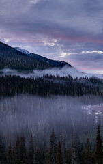 Mist Shrouded Forest and Snowy Mountain Ridge at Dawn in British Columbia