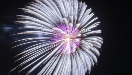 Obraz premium The Silver Peony Burst. Happy New Year 2026. The trails are thick and bright with a glowing purple core. The background is a clear black night sky. 