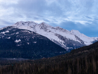 Obraz premium Snow-Capped Mountain Range Over Dense Forest in British Columbia, Canada During Winter Morning View