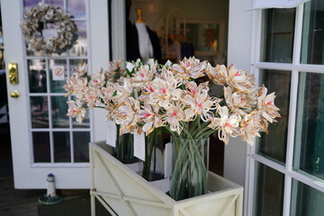 flowers on the windowsill