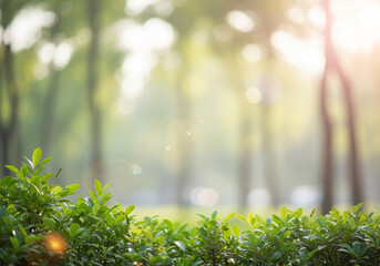Vibrant green leaves on a bush with a soft, out-of-focus background of a sunlit forest, creating a tranquil atmosphere