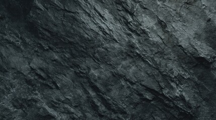 A textured, dark rock surface with intricate patterns and natural lines, conveying a sense of depth and organic beauty.