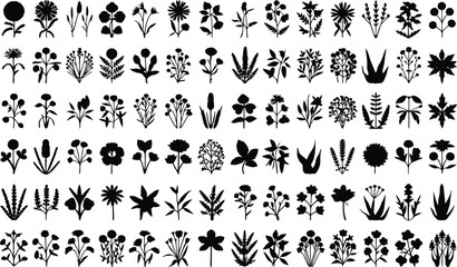 Botanical Floral Herb Plant Silhouette Vector Set .