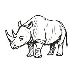 Fototapeta premium PNG Hand-drawn rhino sketch illustration.