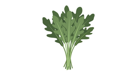 Obraz premium Fresh Arugula Bunch Isolated On Black, Ready To Use in Cooking and Healthy Eating