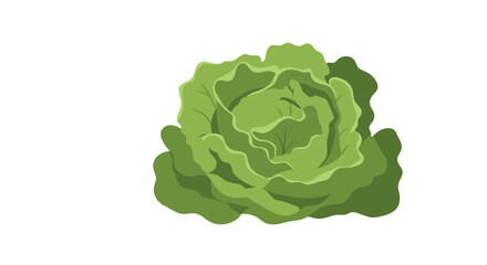 Obraz premium Fresh Green Cabbage Isolated On Black Background, Digital Illustration and Concept
