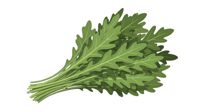 Fresh Arugula Bunch Presentation On Deep Black Background Artistic Culinary Imagery