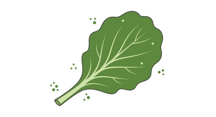 Fresh Illustrative Kale Leaf Displayed On Flat Black Backdrop With Fine Graphic Detailing