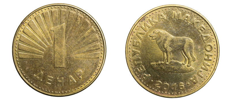 one macedonian denar coin  isolated on white background