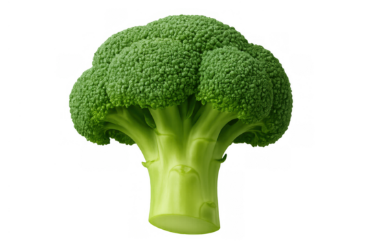 Fresh green broccoli looking healthy ingredient for raw food diet and vegetarian lifestyle with copy space on transparent background