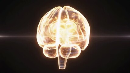 3D animation of a translucent human brain structure glowing with a pulsing orange light. - Powered by Adobe