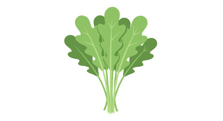 Obraz premium Healthy And Fresh Rocket Leaves Illustration On Black Background For Visual Projects