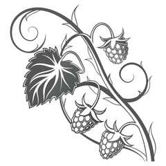 Stylized Raspberry Branch with Leaves and Swirls fruit