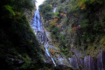 紅葉に染まる渓谷