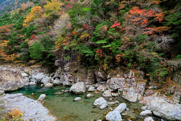 紅葉に染まる渓谷