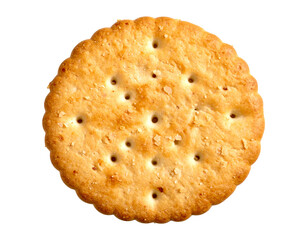 Crunchy Round Snack Biscuit Close-Up Isolated