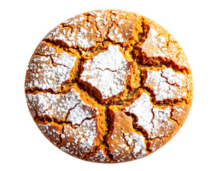 Crunchy Round Snack Biscuit Close-Up Isolated