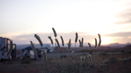sunset in the grass camping