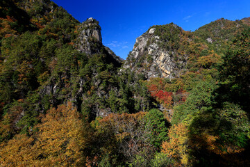 紅葉に染まる昇仙峡 © 汐理 宮本
