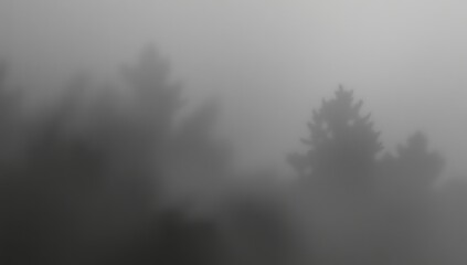 Overcast conditions envelope evergreen trees, creating a soft, hazy landscape with tonal variations ranging from light gray to dark silhouette, obscuring fine details in a moody, atmospheric setting.