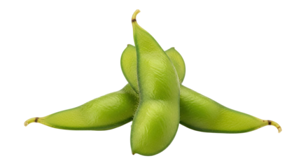 A detailed studio shot of three fresh green edamame pods arranged in a neat cluster, showcasing their vibrant color, fuzzy texture, and natural form as a healthy vegetable