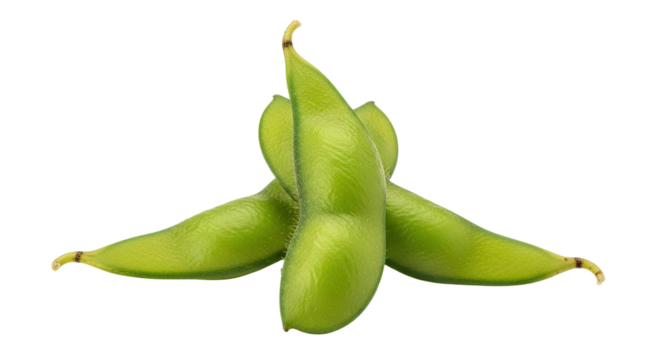 A detailed studio shot of three fresh green edamame pods arranged in a neat cluster, showcasing their vibrant color, fuzzy texture, and natural form as a healthy vegetable