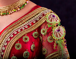 Obraz premium Lehenga embroidery detail isolated.