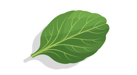 Obraz premium Vibrant Green Leaf Artwork Depicting Botanical Beauty Against a Dark Backdrop