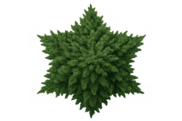 Green hexagonal star evergreen tree concept. Connecting nature, religion, and spirituality with a unique plant shape