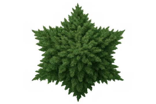 Green hexagonal star evergreen tree concept. Connecting nature, religion, and spirituality with a unique plant shape