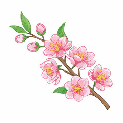 Beautiful Hand Drawn Pink Blossoms Branch with Buds and Green Leaves