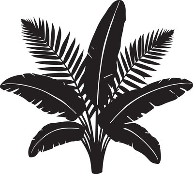 A bunch of plam black leaves with a white background