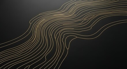 Black background with flowing golden wavy lines abstract