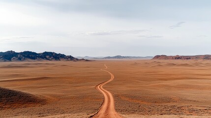 A scenic, winding dirt road stretches across a vast, dry, and sparsely vegetated plain towards distant, rugged mountains under a pale, cloudy sky.
