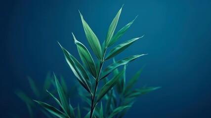 Abstract bamboo leaves green foliage minimalist botanical blue background nature plant tropical leaf soft light calm mood plantation vibe gently frames abstract background with serene depth - Powered by Adobe