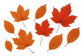 Falling autumn leaves creating a vibrant seasonal background, isolated on a transparent background for design projects