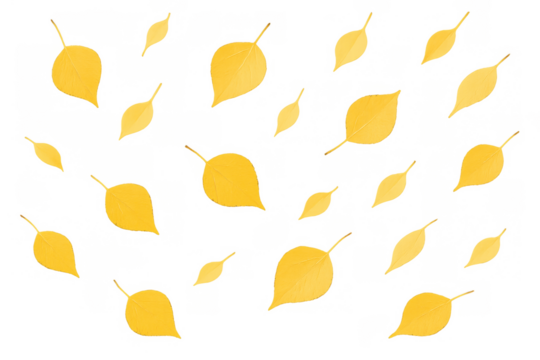 Yellow autumn leaves falling down, seamless pattern on transparent background representing season change