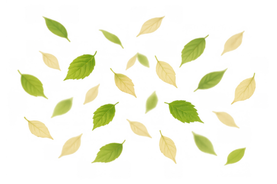 Green and yellow leaves falling, creating a natural pattern on a transparent background, symbolizing autumn and change