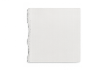 Torn piece of white paper with ripped edges, blank texture overlay, suitable for notes or copy space on transparent background