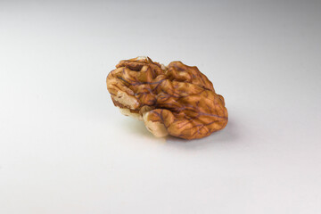 Single Shelled Walnut Kernel Half Isolated on White Background