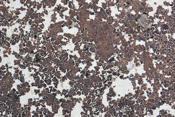 Abstract brown and white terrazzo texture background with rustic feel. This natural stone surface shows detailed pattern of aged material, perfect for design or decor