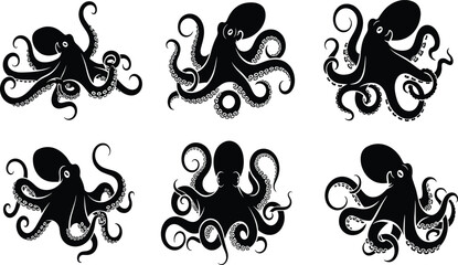 Black and white octopus illustration, marine animal drawing, underwater sea creature art, vintage tentacle design, aquatic wildlife vector, ocean graphic artwork © Asad Creative