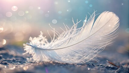 A delicate white feather resting gently on a textured surface, illuminated by soft, dreamy light, creating a serene and ethereal atmosphere